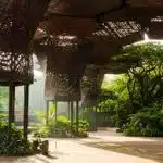 Free Things to Do in Medellín: A Local's Guide images