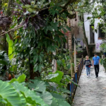 Living in Medellín: An Honest Guide to Moving Here image