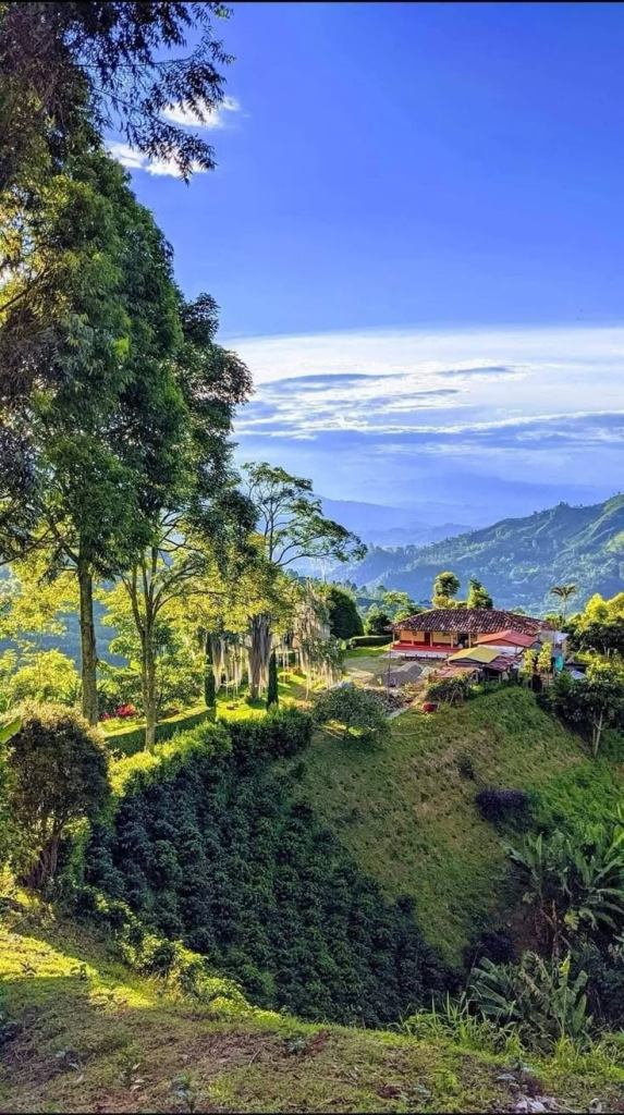 Things to Do in Colombia: The Best Places and Experiences Things to Do in Colombia: The Best Places and Experiences